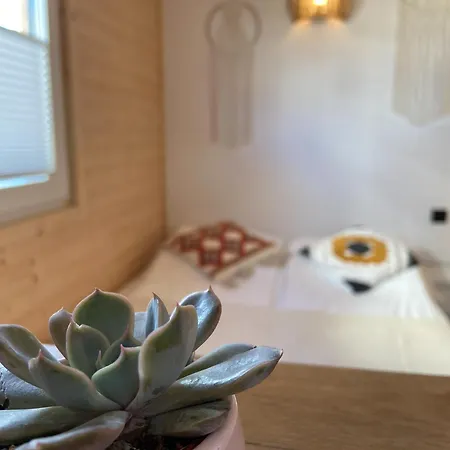 Przy Brzegu Chlapowo Alojamento de Turismo Selvagem